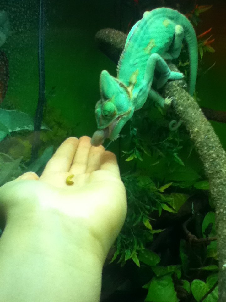 Eating