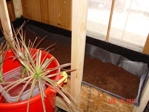 Eco-Earth and Peatmoss mixture.