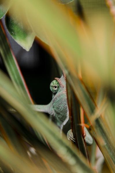 Eli at 3 months old exploring his new home