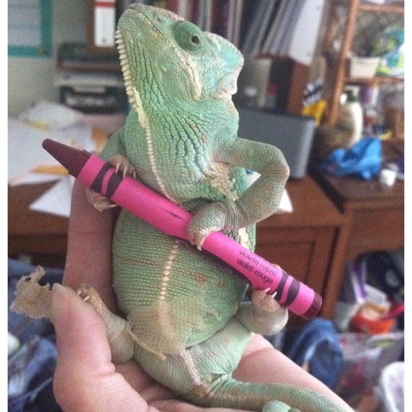 Ellie with her crayon ;)