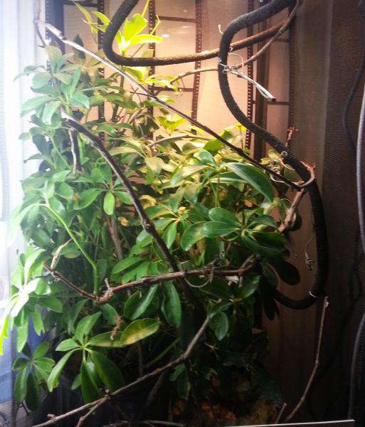 enclosure....