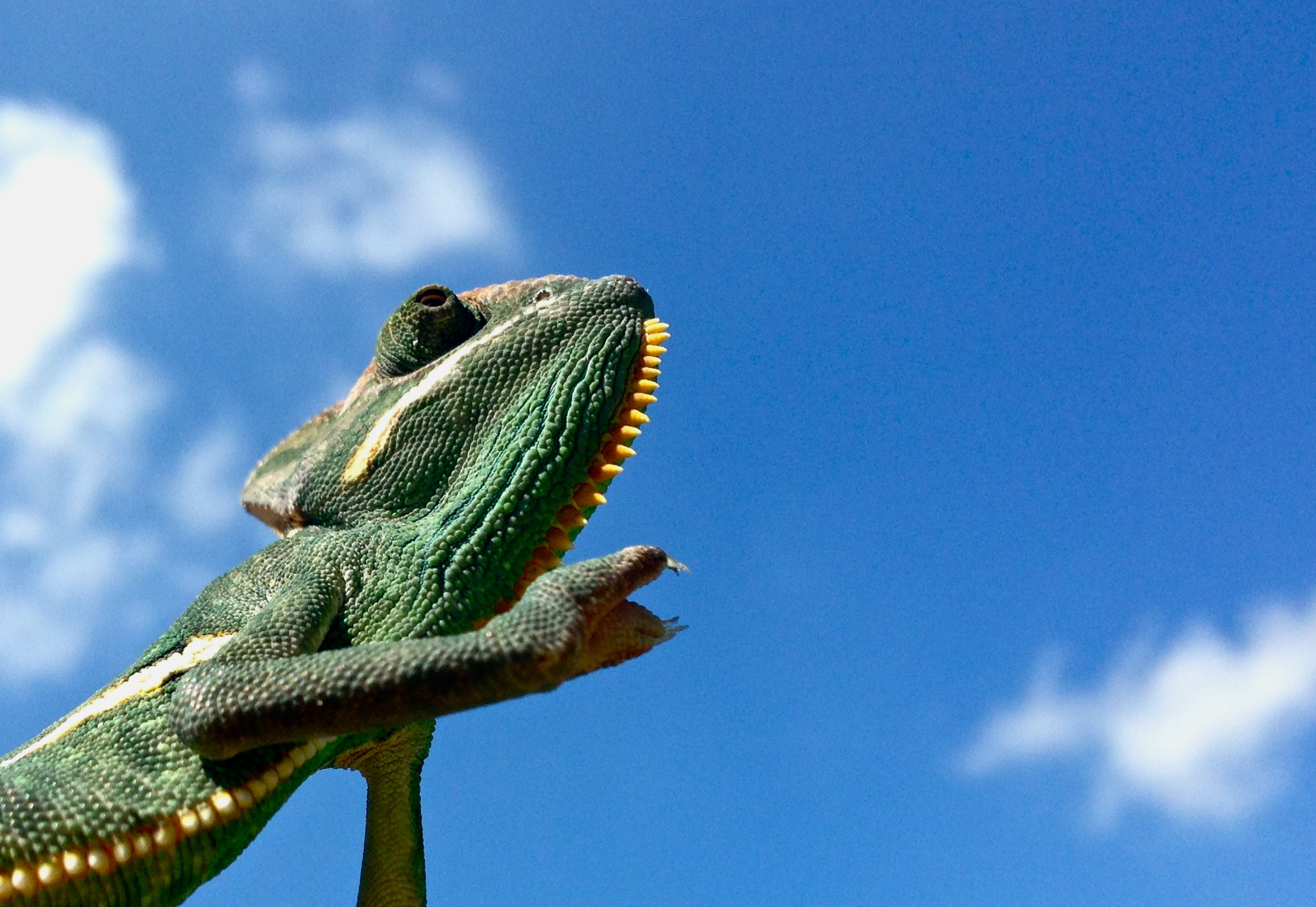 Enjoying The Warm Weather