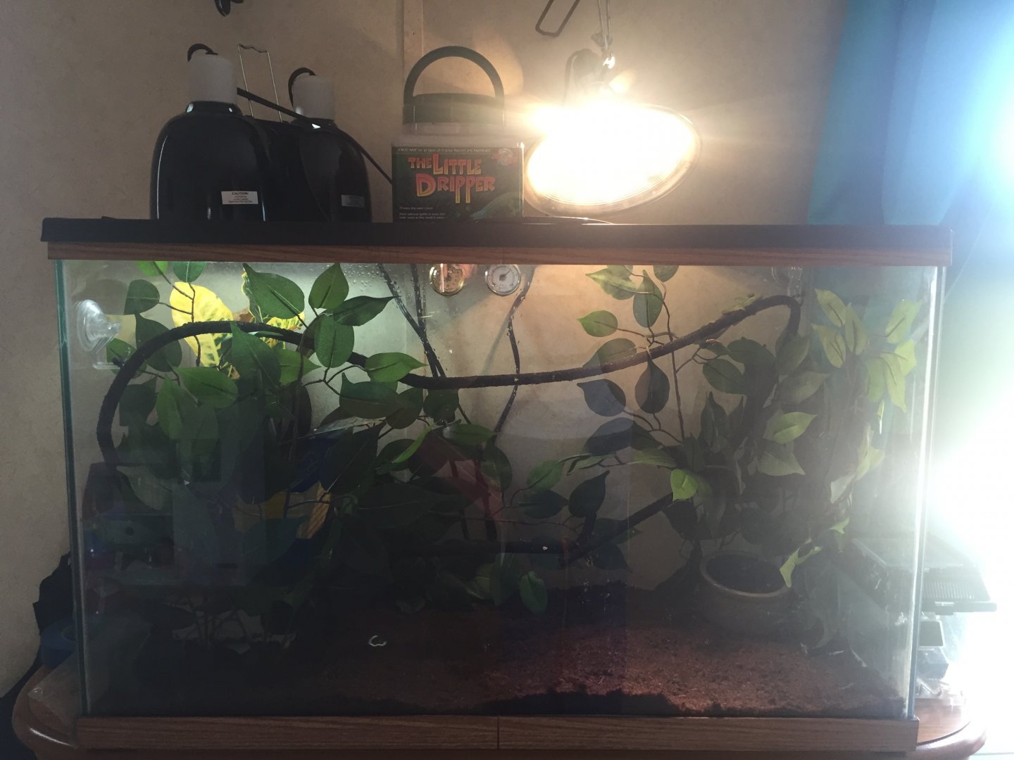 Entire enclosure