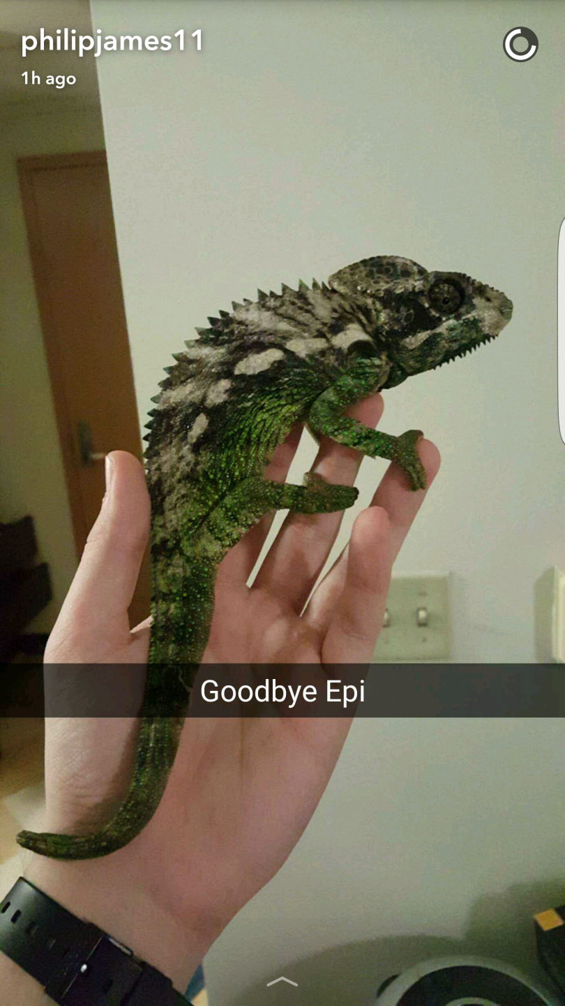 Epi 3/1