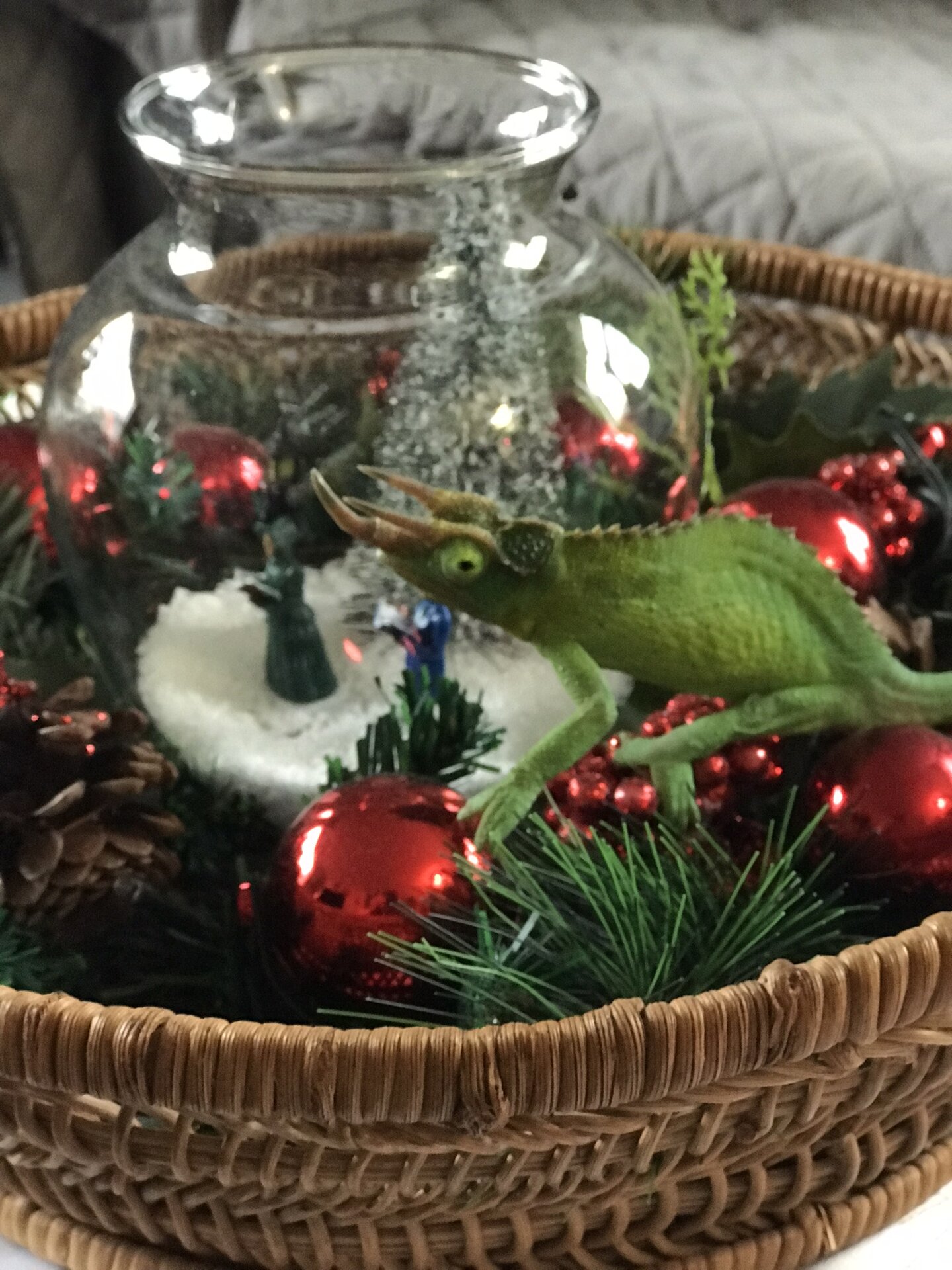 Eustis checking out the Christmas decor!