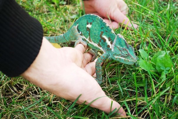 Exploring Outside