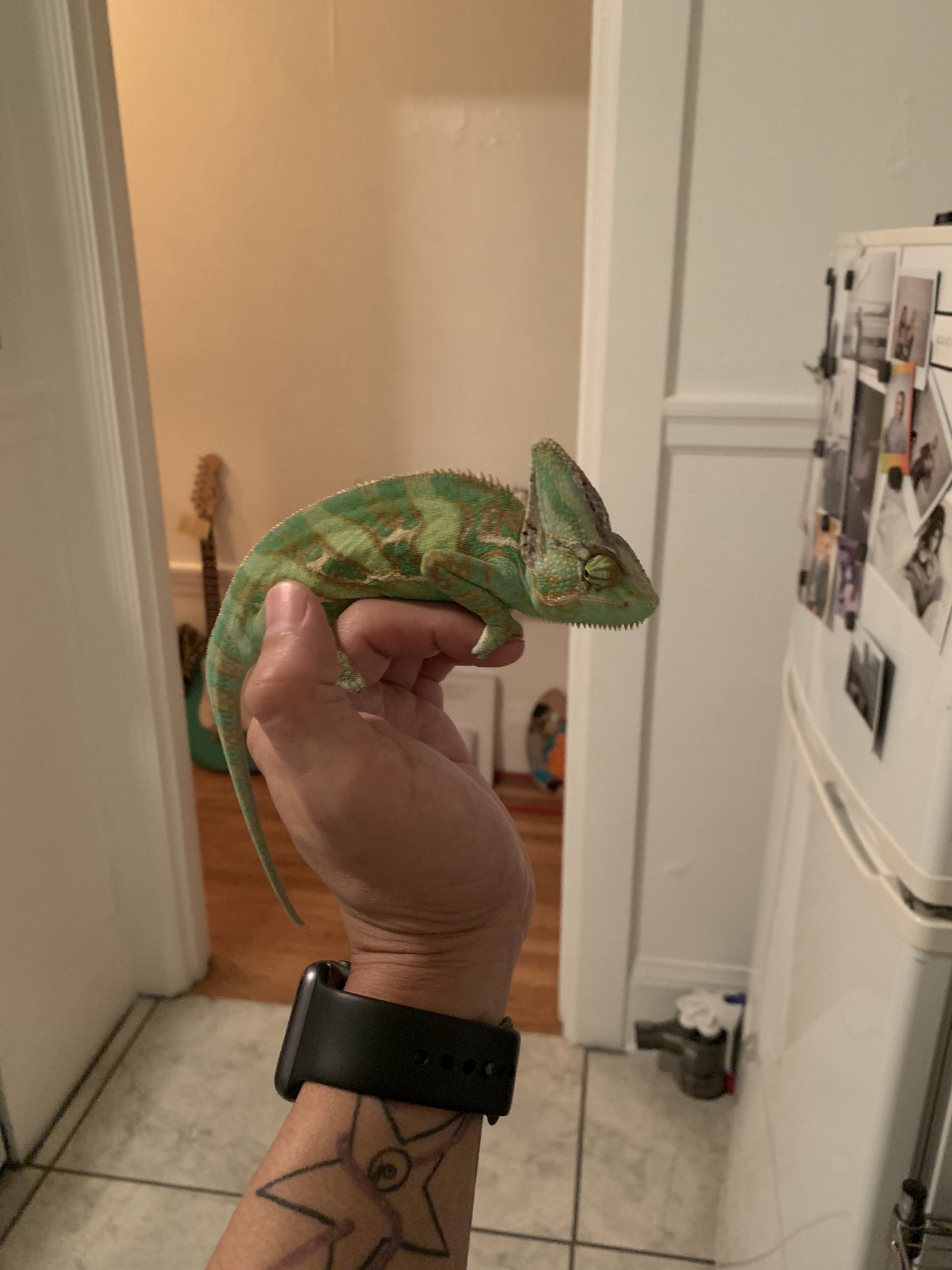 Exploring the kitchen