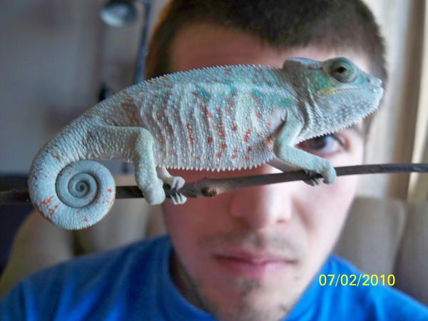 eye spy