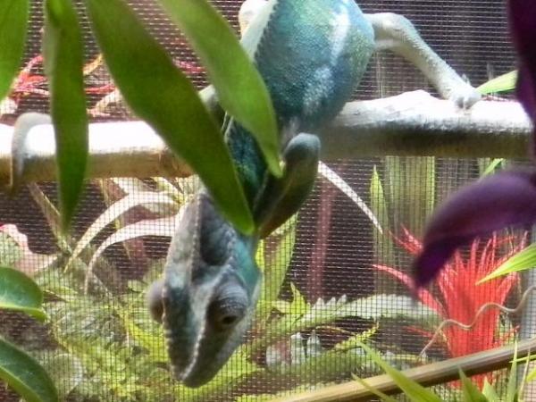 Fascinated by dripping water