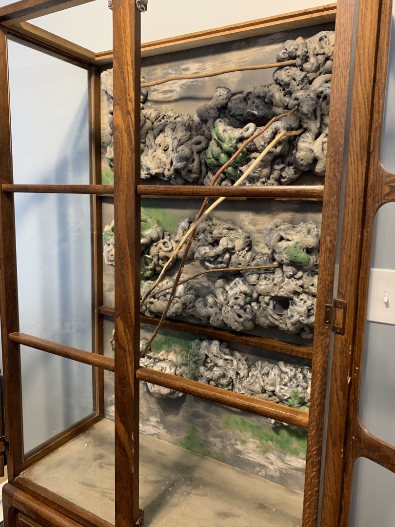 Faux rock wall and the floor have been installed!