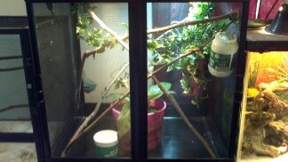 Female New Enclosure