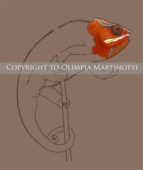 Fierce the Ambilobe Portrait. Preview/Progress Shot #1.