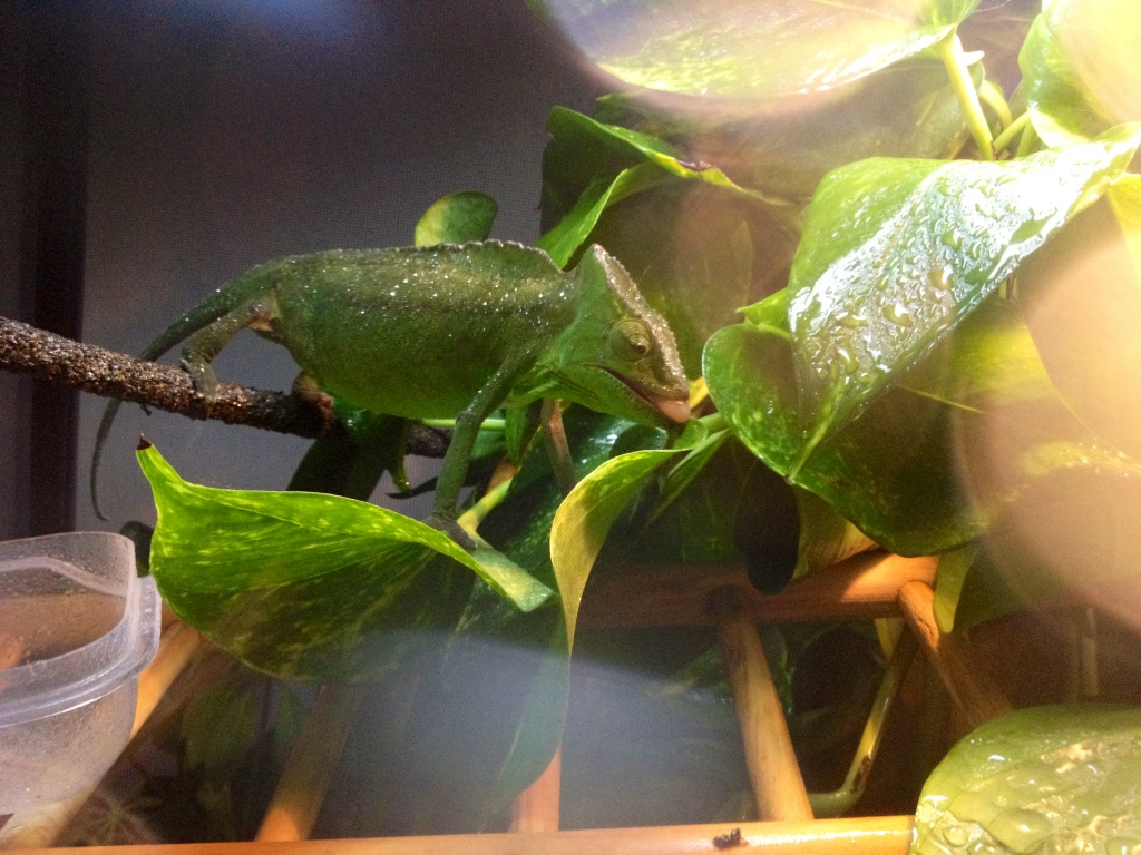 Finally Caught Her Drinking!