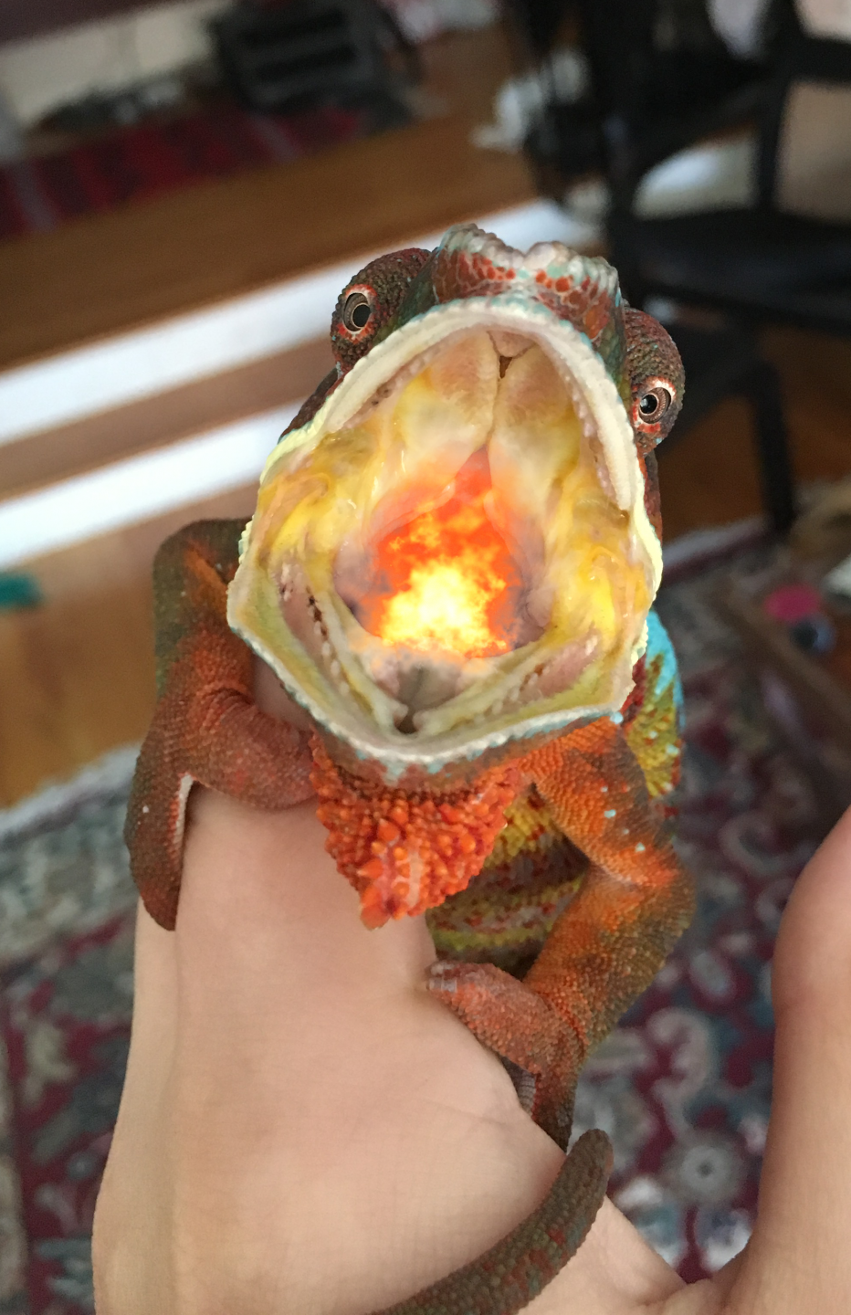 Fire Breathing Dragon