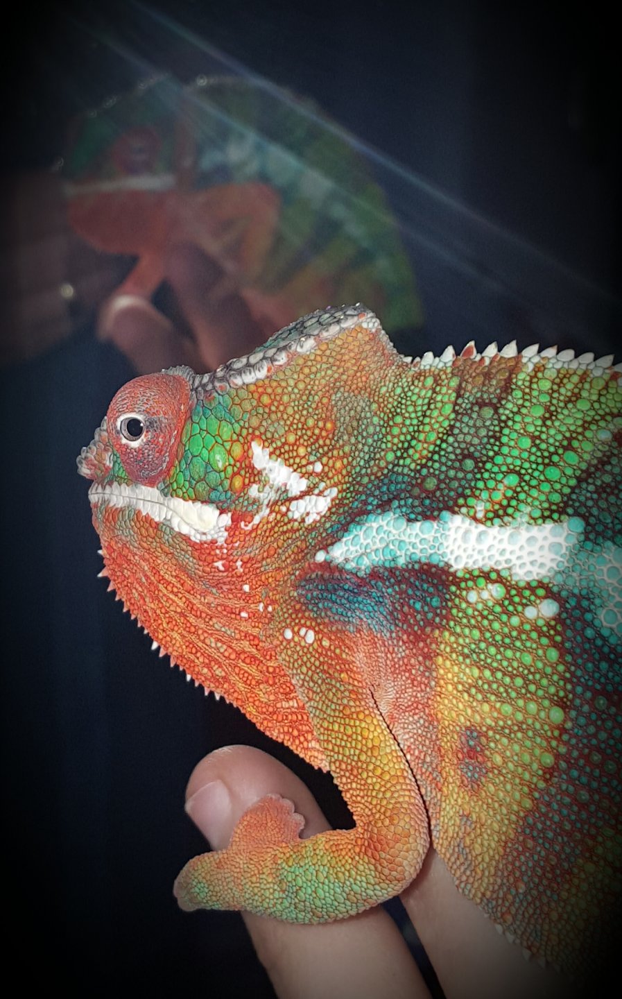 Fired up in the mirror