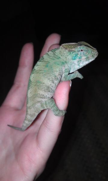 first day i brought him home