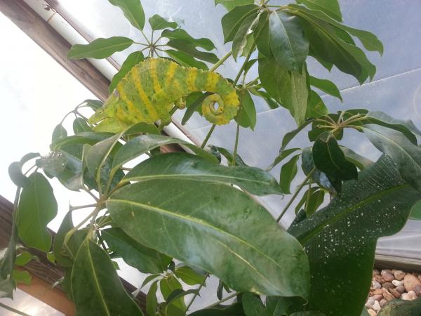 First day in his new home.