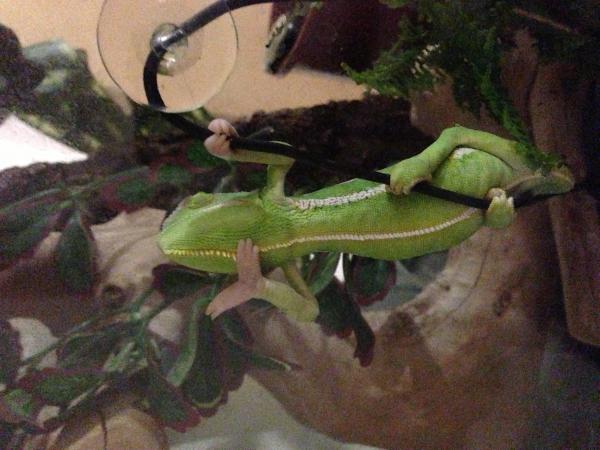 First night sleeping