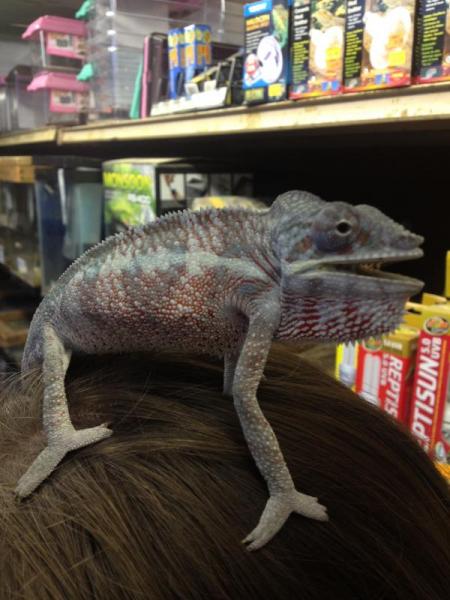 first or second time I met Steve. He seemed to be in good shape then.