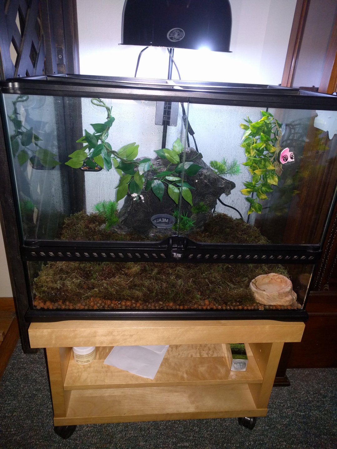 First setup