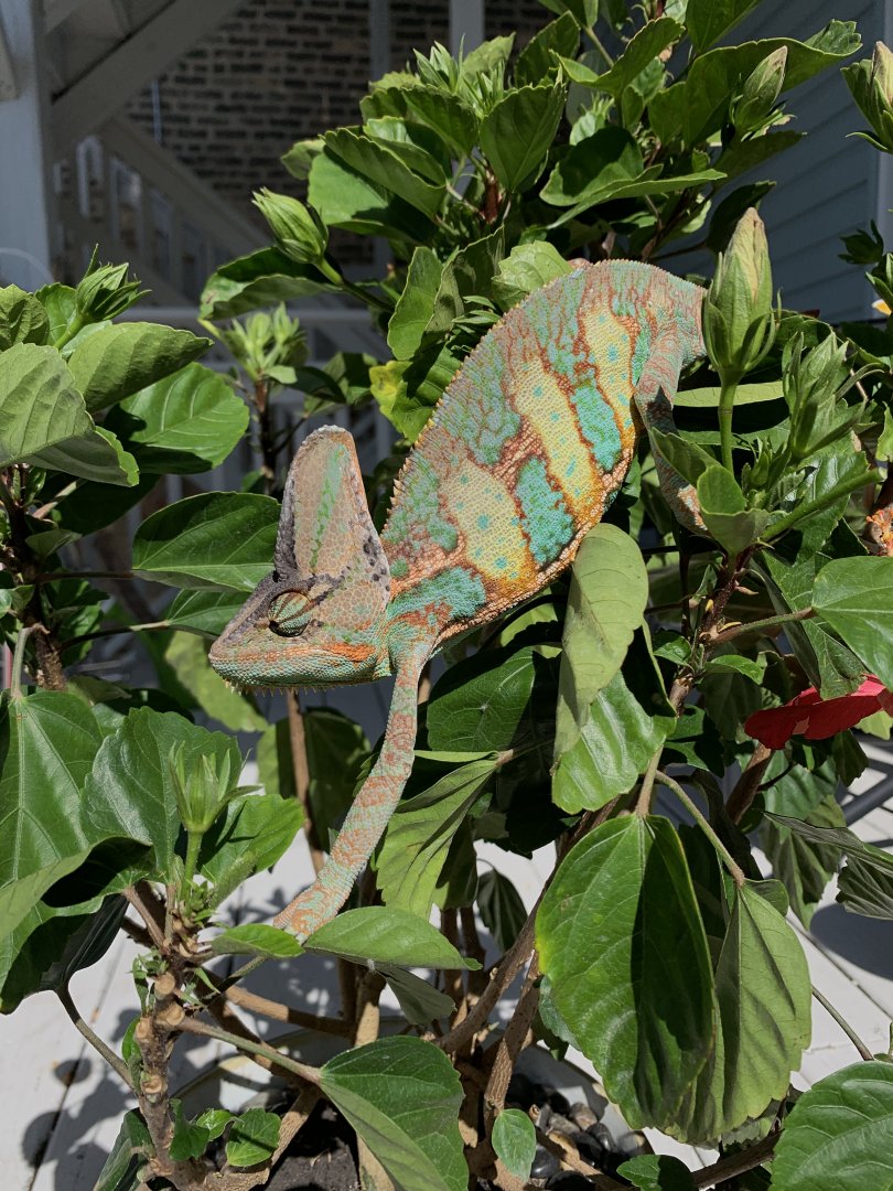 First Time Outside