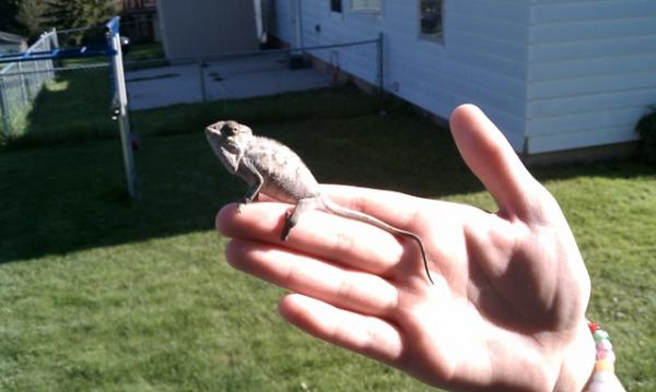 First time outside!