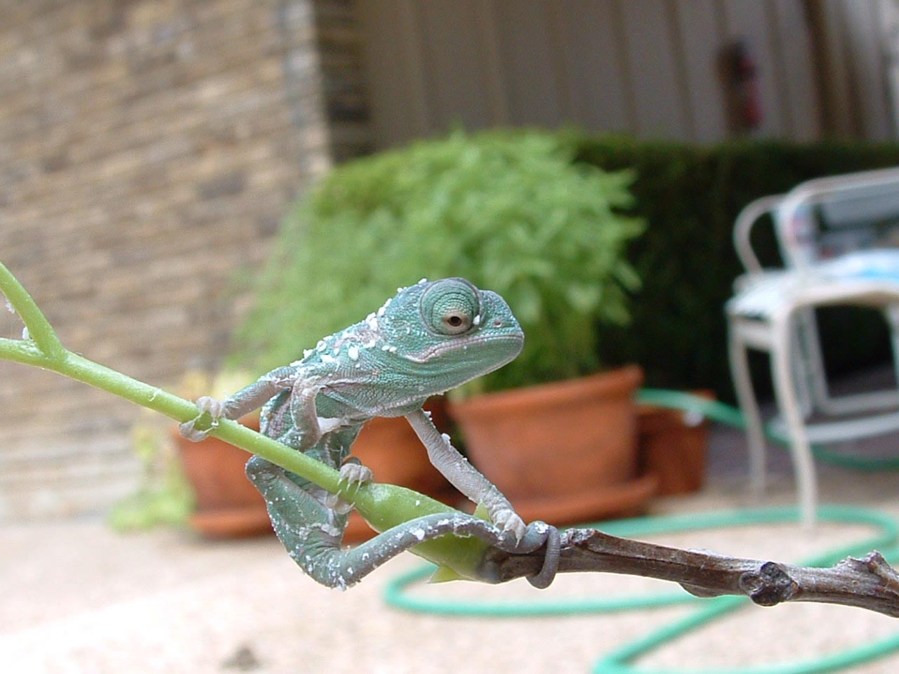 First View of the Sun