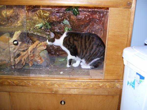 Fiver in Elliots house and ate Elliots Hornworm...

(Elliot was not in his home)