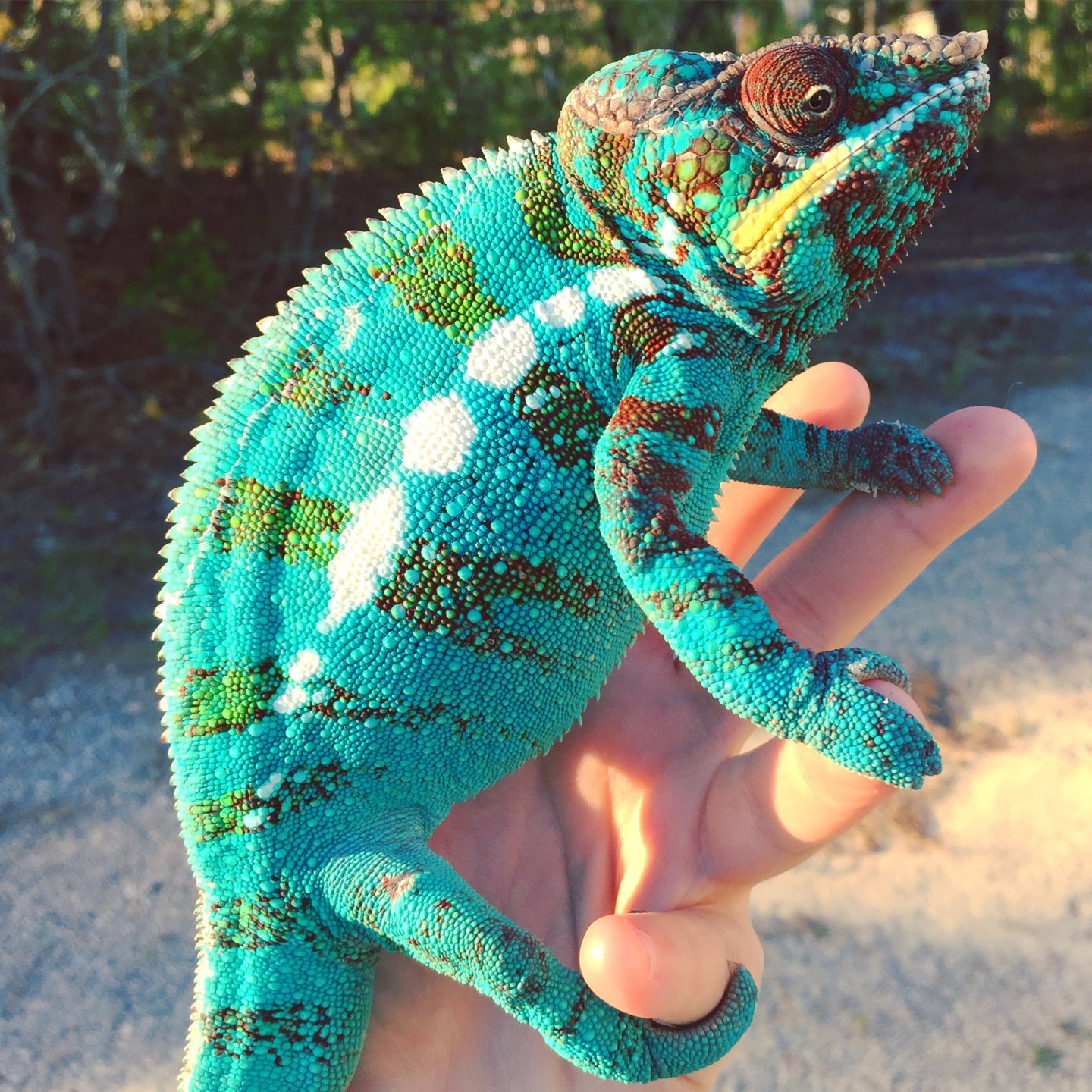 Flash enjoying the sunshine <3