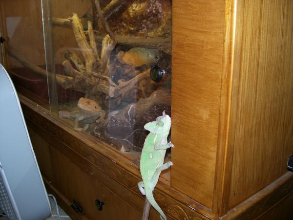 Found Him!!!!  All the girls love Elliot :)