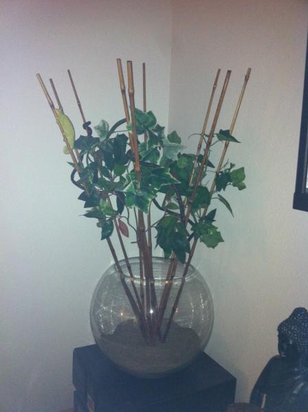 free range setup i made so they can hang out w us and take outside for sun