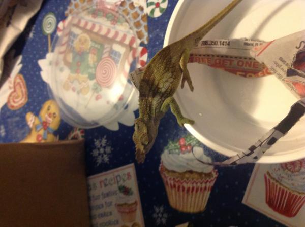 Fresh out of the package