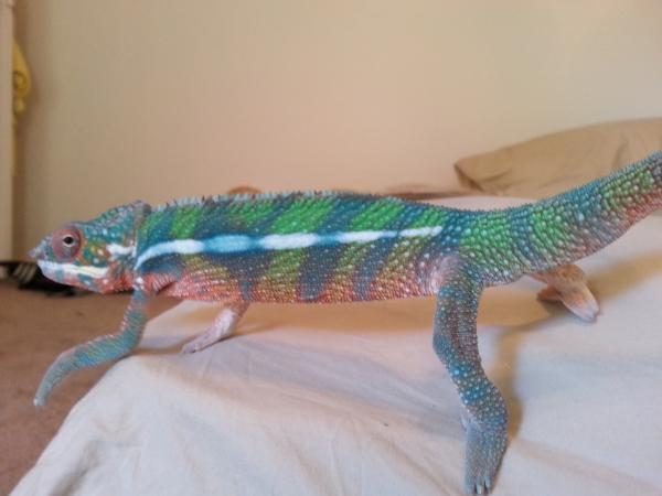 freshly shed and exploring