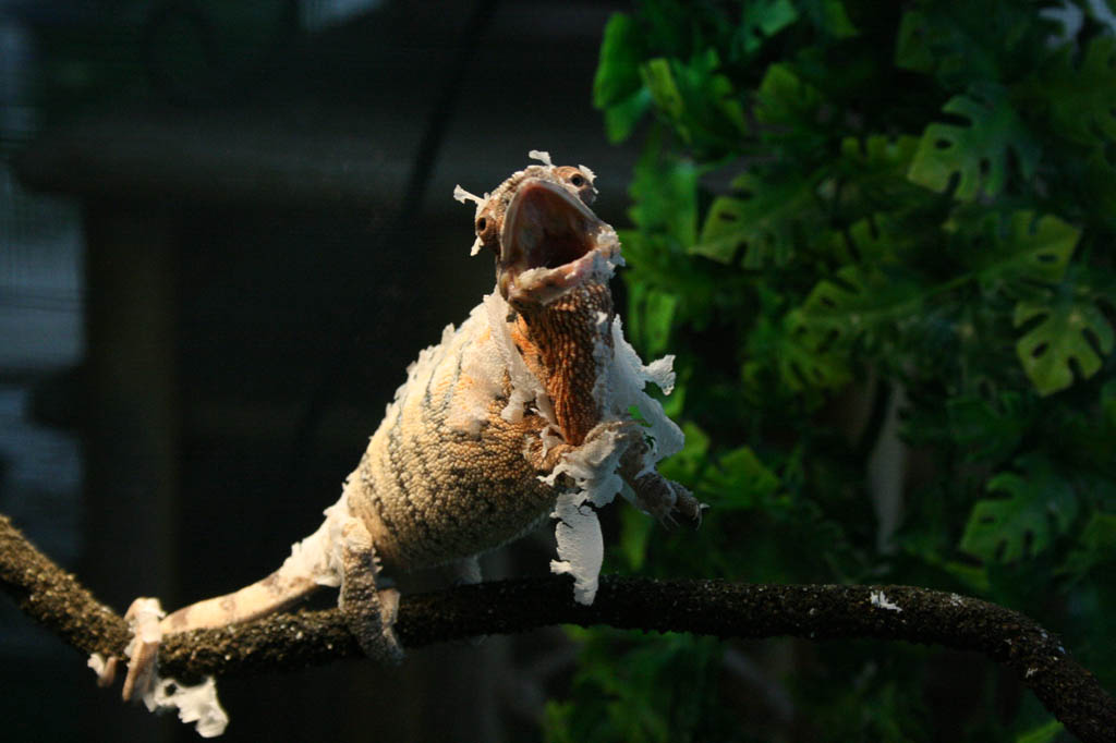 Freya Having A Bad Hair Day :p