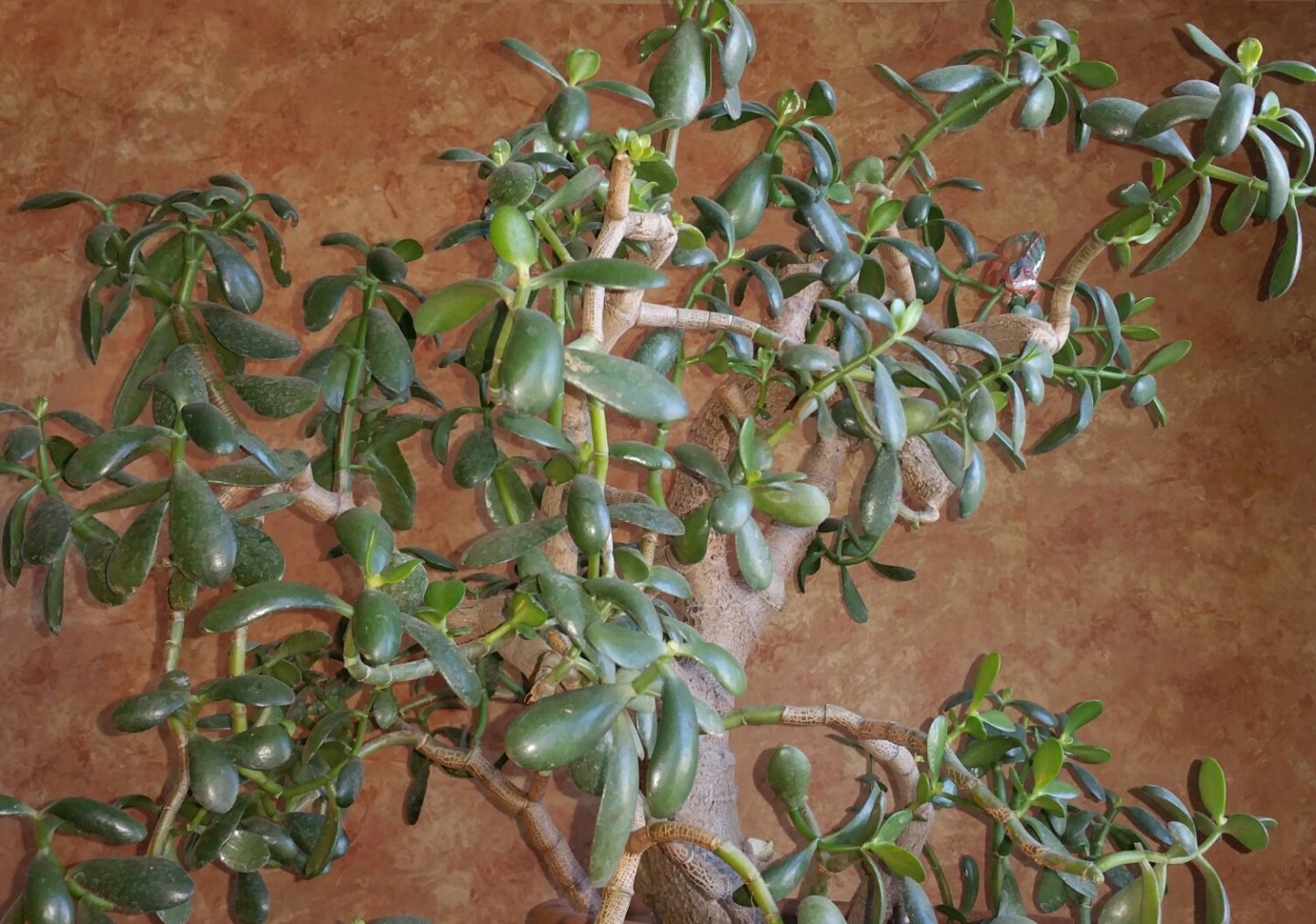 friday afternoon relaxin