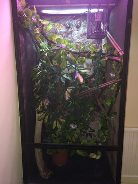 Front on of Hulks cage