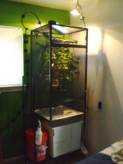 Fry's new adult cage