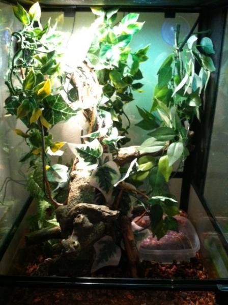 Full view of inside cage.