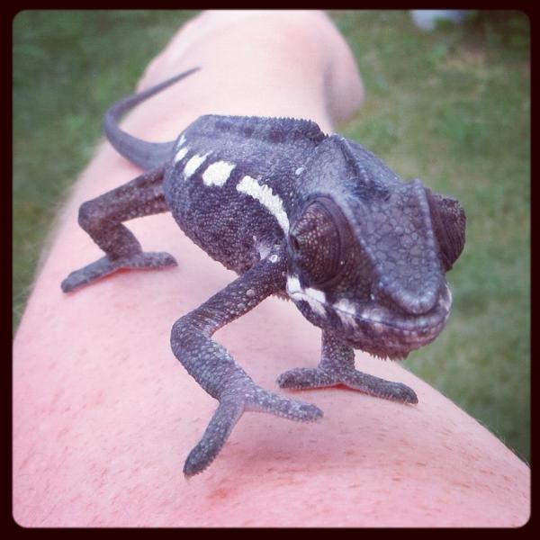 George first day home