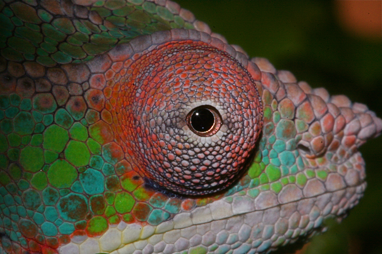 George July Photo Contest Entry