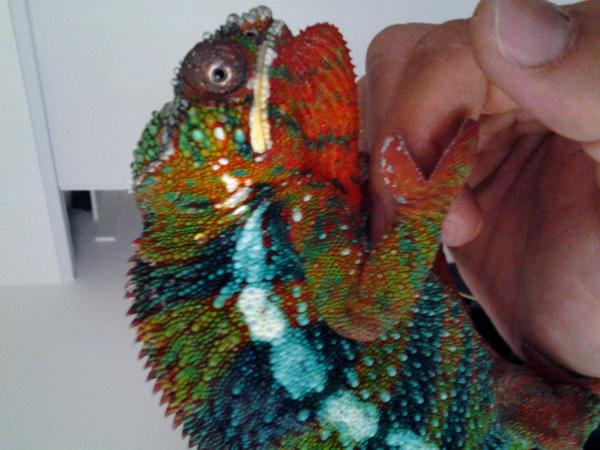 Get away from me dawg!