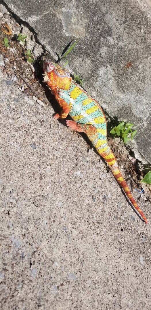Get some color 2