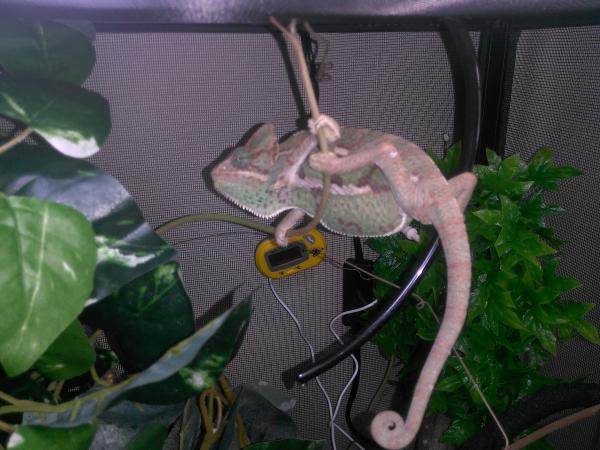 Getting used to her new home