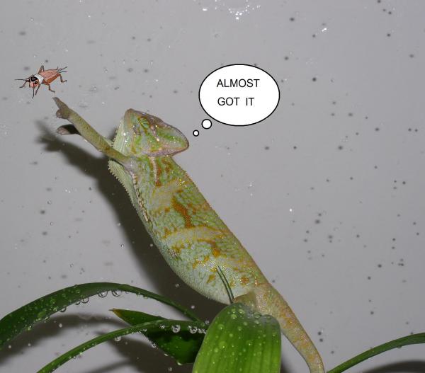 "Gimme gimme more, gimme more, gimme gimme more!"