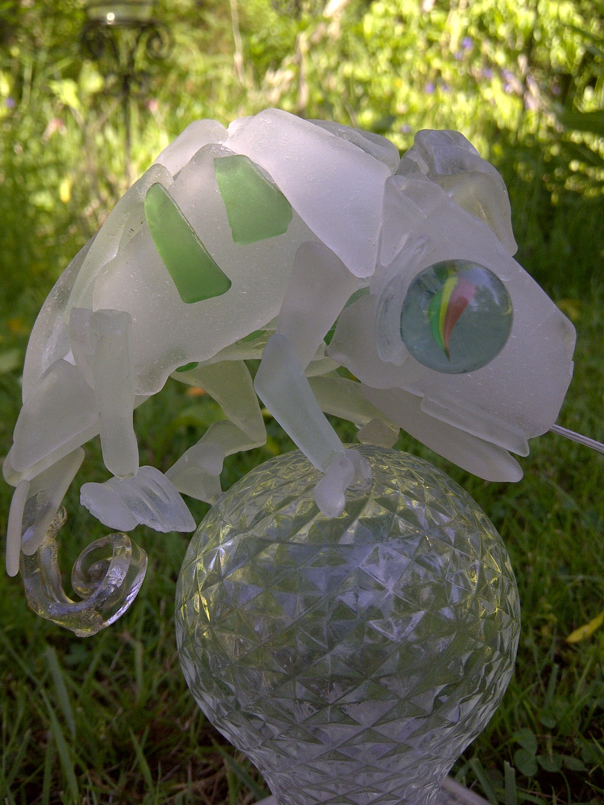 Glass Chameleon