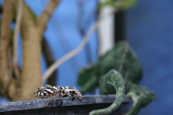 Going their seperate ways : (