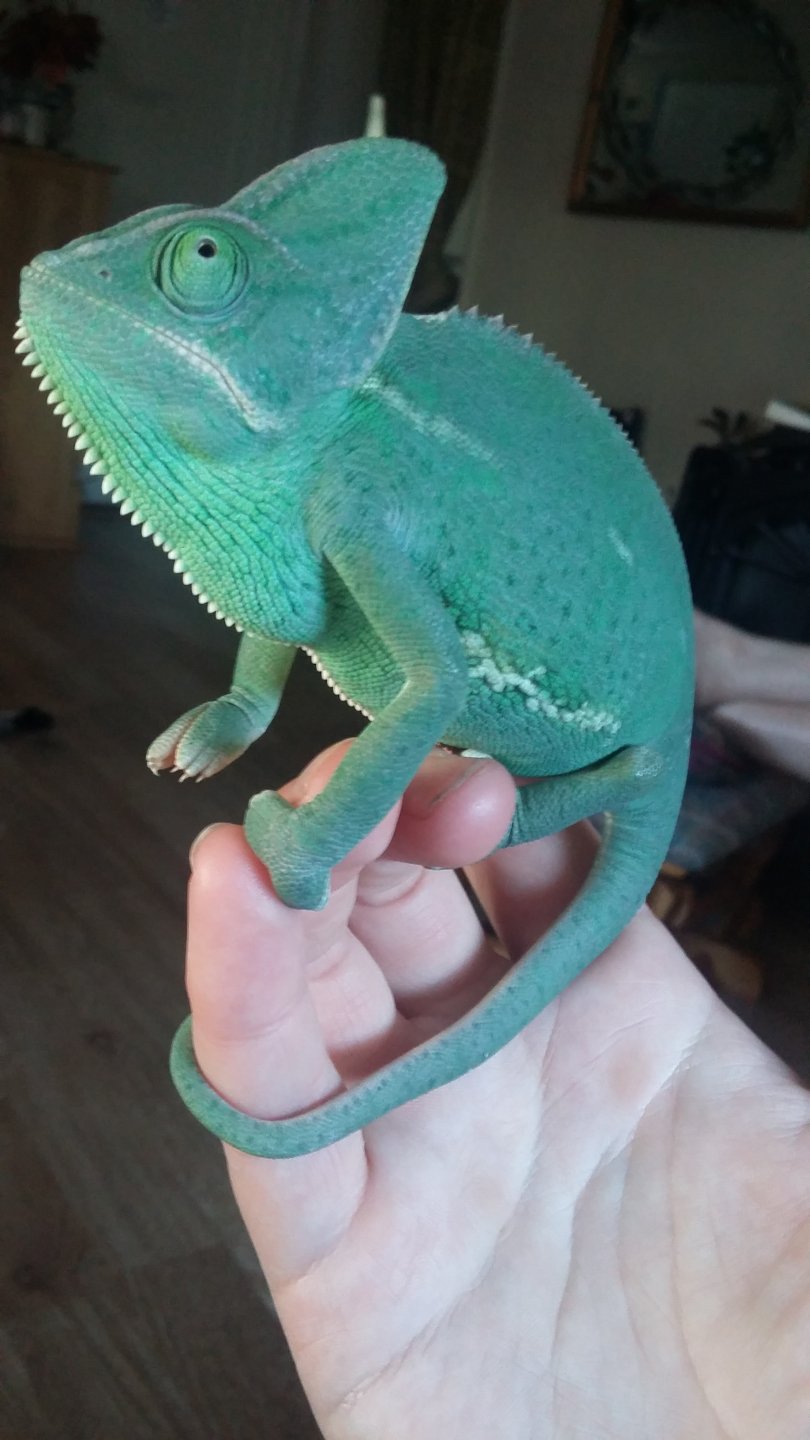 gorgeous girl is getting so big!!!