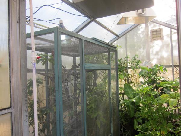 Greenhouse(2)