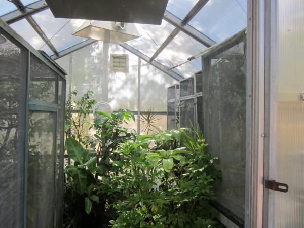 Greenhouse(3)