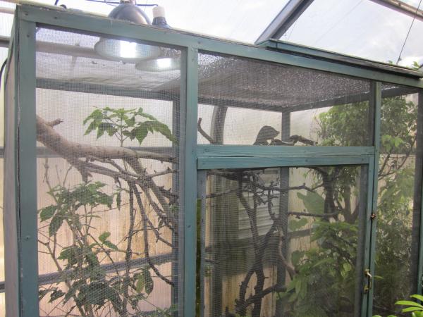 Greenhouse(6)